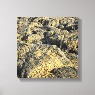 seawall seaweed canvas print
