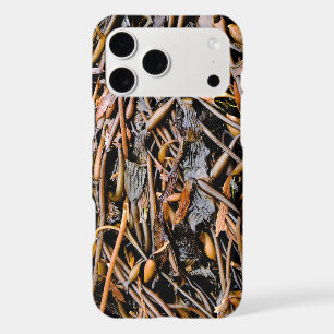 Seaweed
