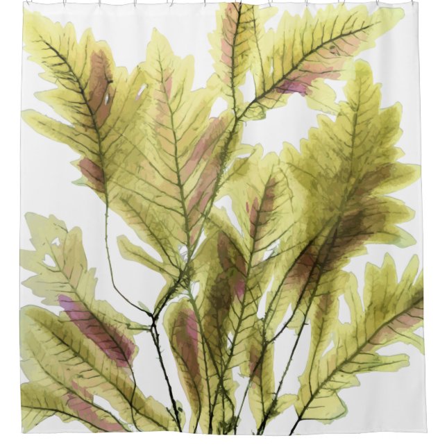 Seaweed Awash in Citrus Shower Curtain (Front)