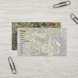 Seaweed Business Card