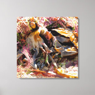 SEAWEED CANVAS PRINT