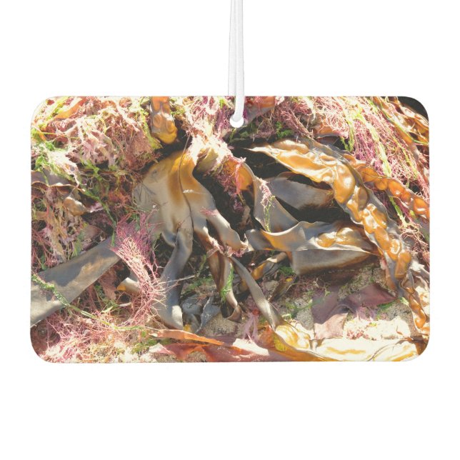 SEAWEED CAR AIR FRESHENER (Front)