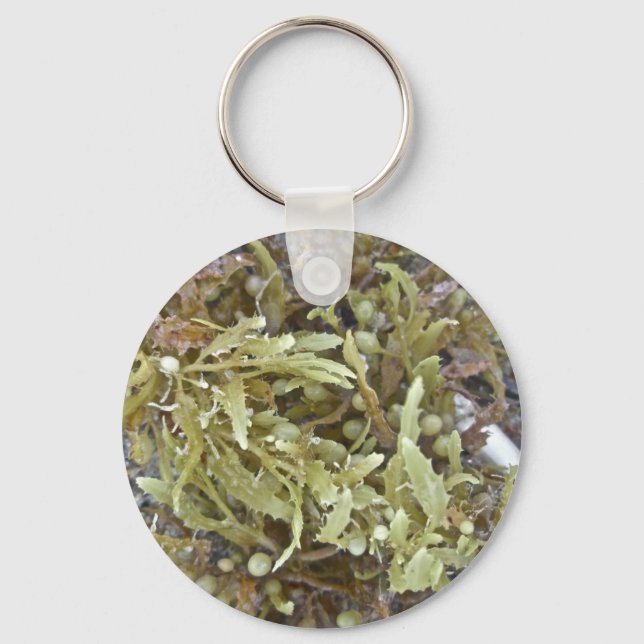 Seaweed Coordinating Items Key Ring (Front)