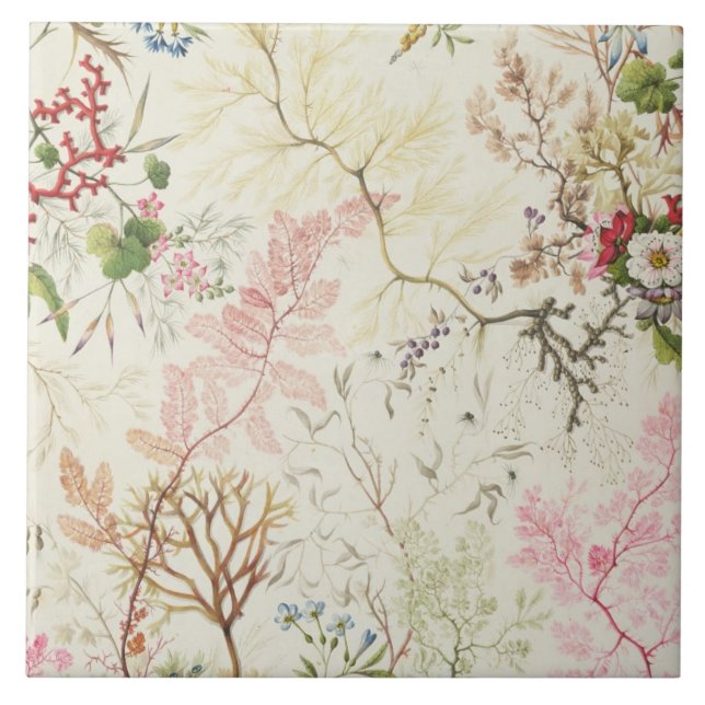 Seaweed design for silk material (w/c on paper) tile (Front)