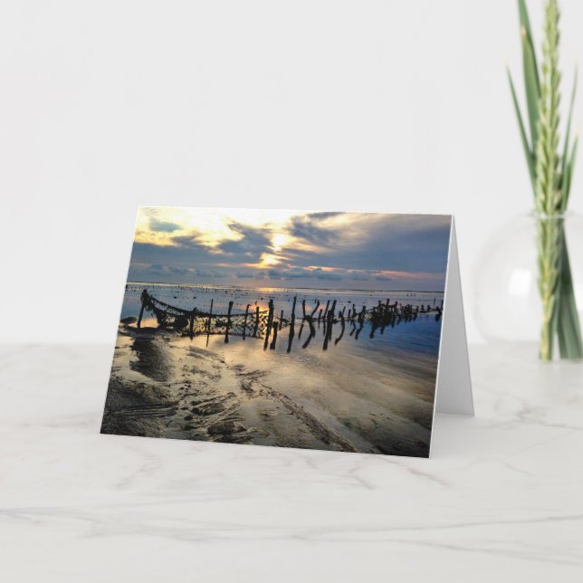 Seaweed Farms at Pulau Rote Card (Front)