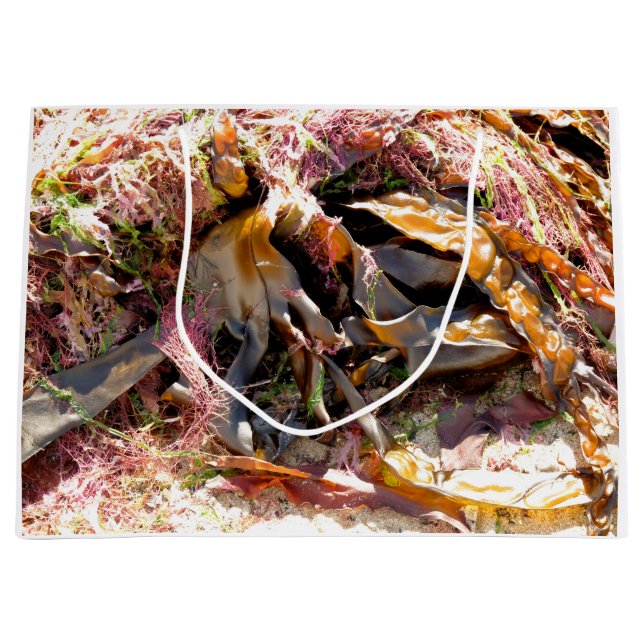 SEAWEED LARGE GIFT BAG (Front)