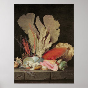 Seaweed, Lithophytes and Seashells Poster