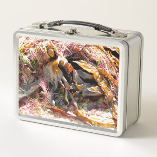 SEAWEED METAL LUNCH BOX