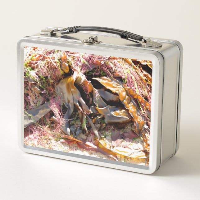 SEAWEED METAL LUNCH BOX (Front)