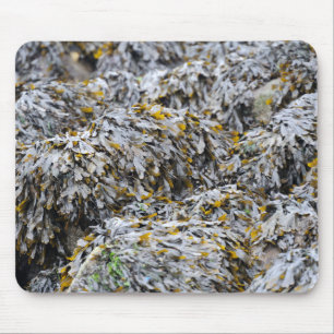 Seaweed Mouse Mat