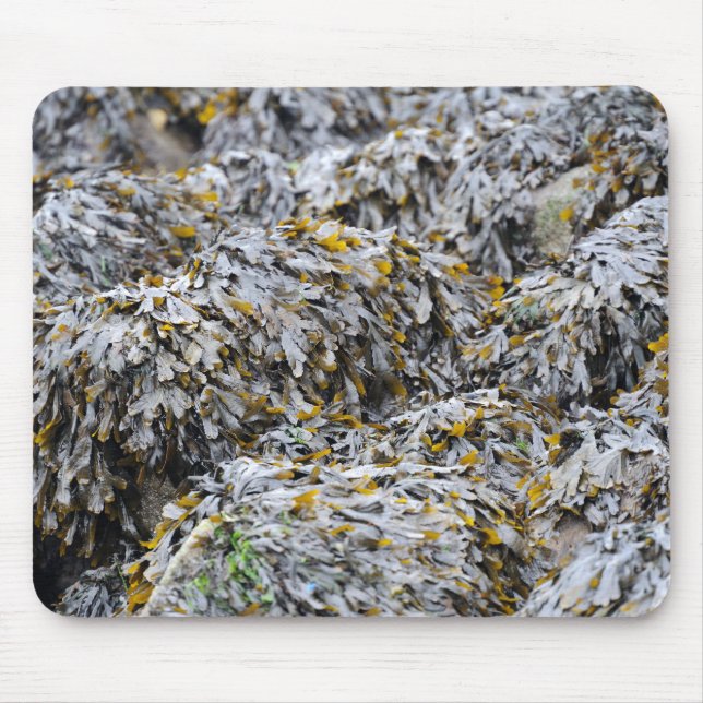 Seaweed Mouse Mat (Front)
