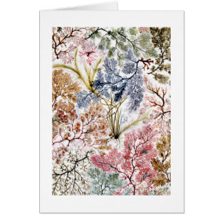 Seaweed Silk Fabric Art