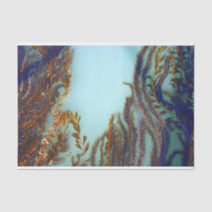 Seaweed Tissue Paper