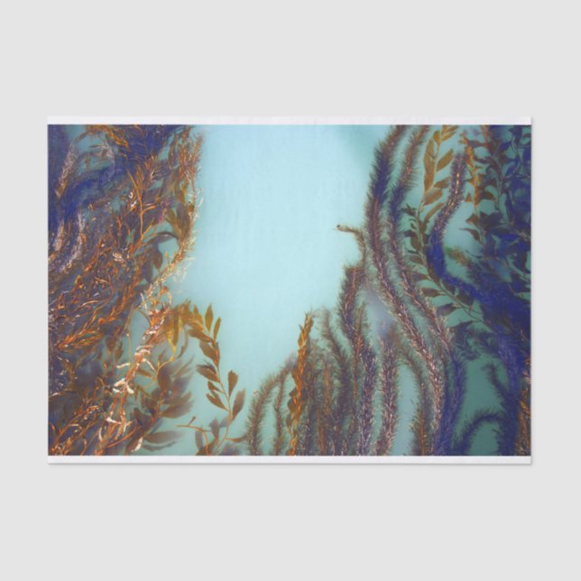 Seaweed Tissue Paper (Front)