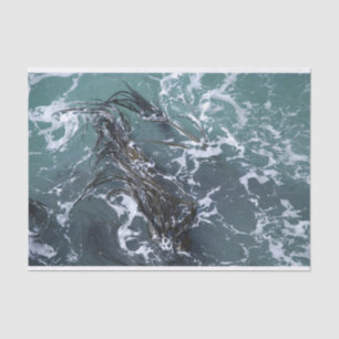 Seaweed Tissue Paper