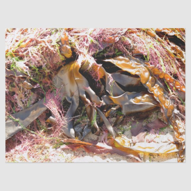 SEAWEED TISSUE PAPER (Front)
