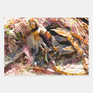 SEAWEED WRAPPING PAPER SHEET