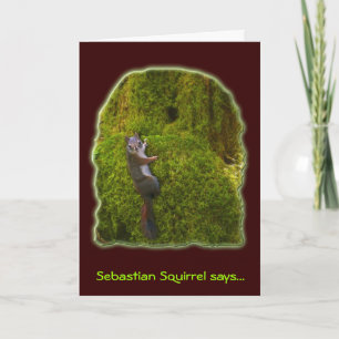 SEBASTIAN SQUIRREL Note Cards