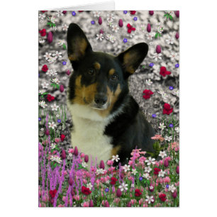 Sebastian the Welsh Corgi in Flowers