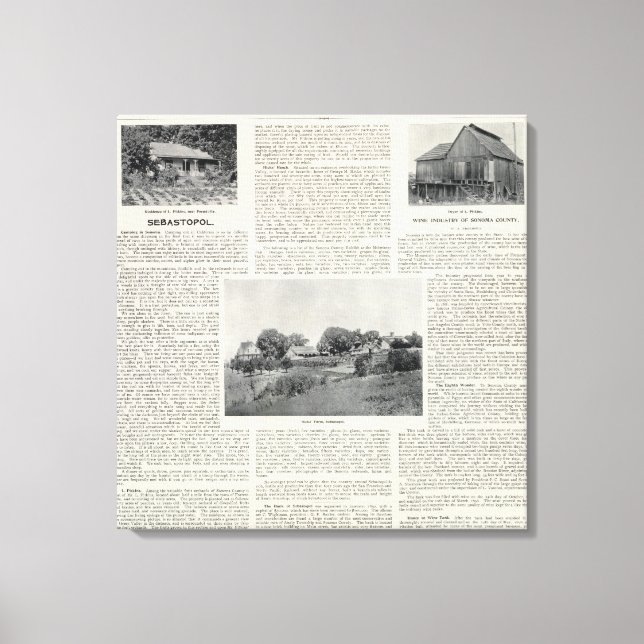 Sebastopol, California Canvas Print (Front)