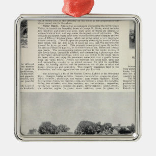 Sebastopol, California Metal Tree Decoration