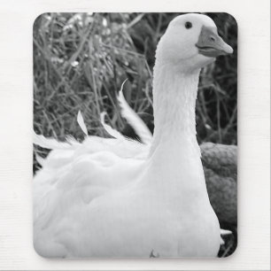 Sebastopol Goose Mouse Mat