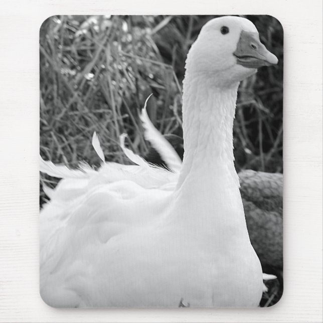 Sebastopol Goose Mouse Mat (Front)