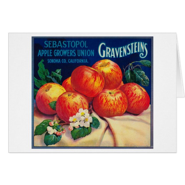 Sebastopol Gravensteins Apple LabelSonoma, CA (Front Horizontal)