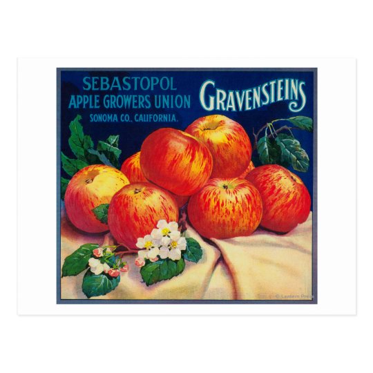 Sebastopol Gravensteins Apple LabelSonoma, CA Postcard