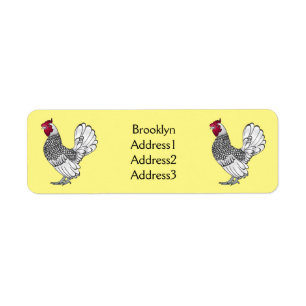 Sebright chicken cartoon illustration