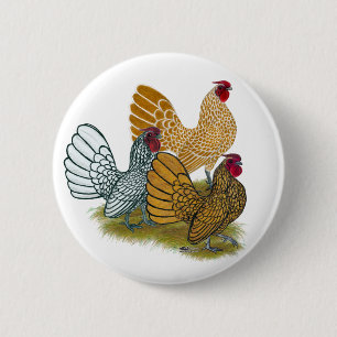 Sebright Rooster Assortment 6 Cm Round Badge
