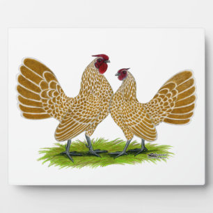 Sebrights Buff Laced Plaque