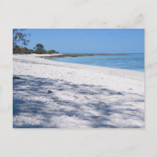 Secluded Beach Postcard