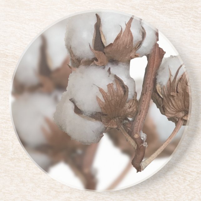 Second Anniversary with Cotton plant Coaster (Front)