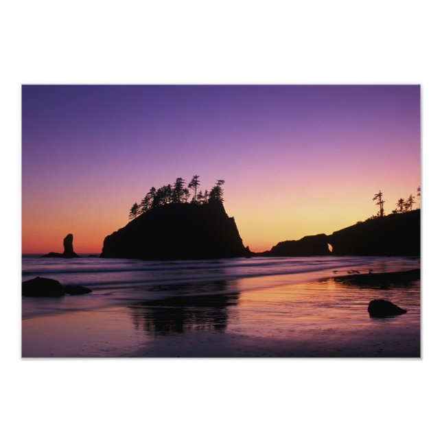 Second Beach at Twilight, Olympic NP, WA, USA Photo Print (Front)