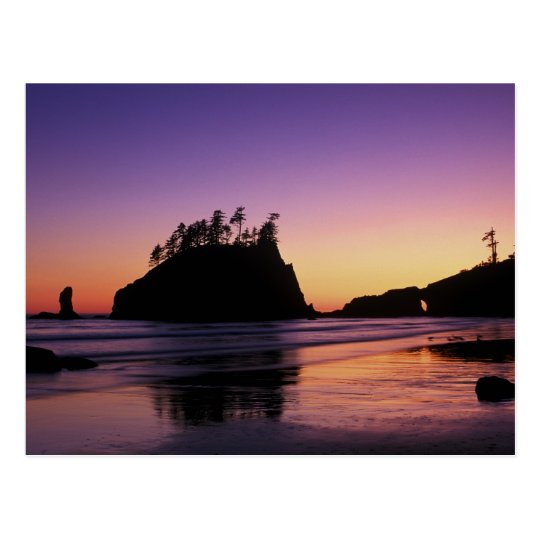 Second Beach at Twilight, Olympic NP, WA, USA Postcard