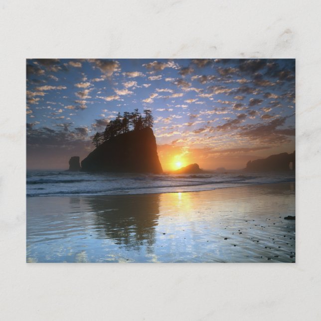 Second Beach, La Push, Sonnenuntergang, Postcard (Front)