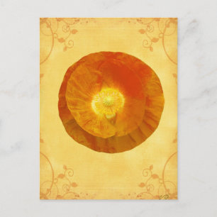 Second Chakra Gifts Postcard