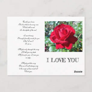 SECRET ADMIRER POSTCARD