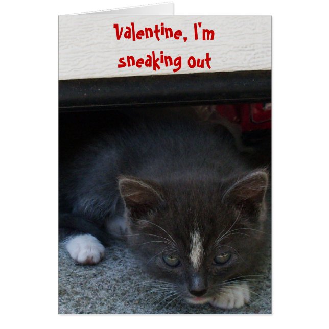 SECRET ADMIRER VALENTINE KITTY card (Front)