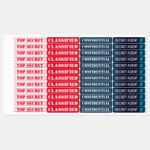 Secret agent Detective Spy Mystery Party