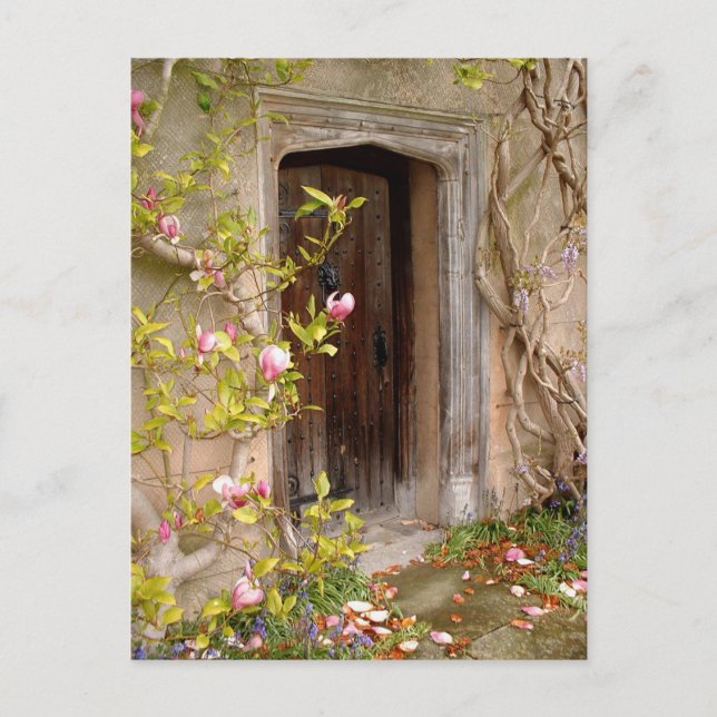Secret Fairy Door to magical Land / Flower Kingdom Postcard (Front)