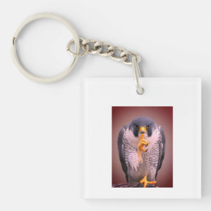 Secret Falcon Sherpa Throw Key Ring