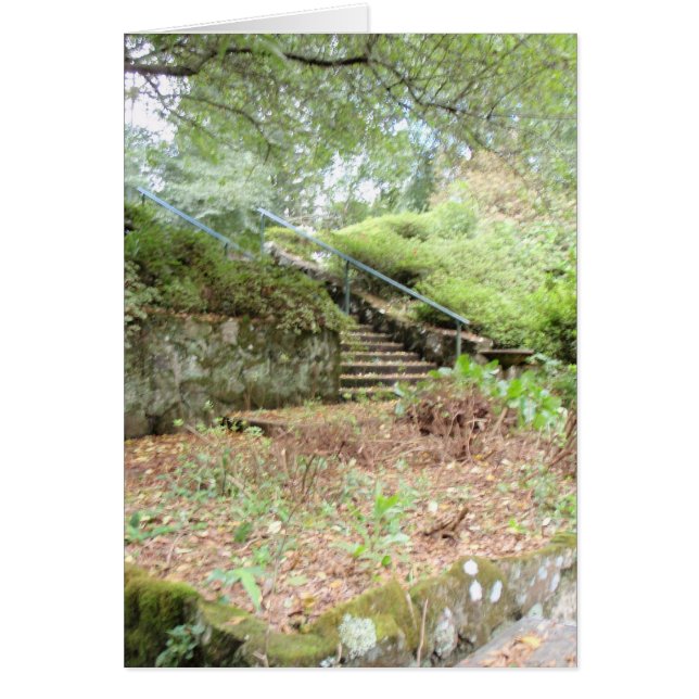 secret garden card (Front)