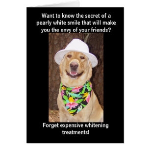 Secret of a Great Smile