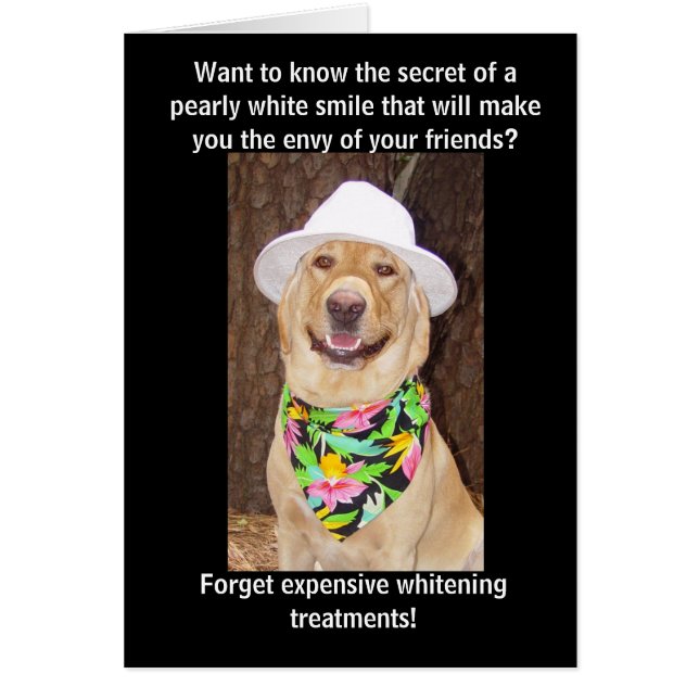 Secret of a Great Smile (Front)