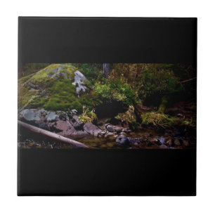 Secret Place Tile