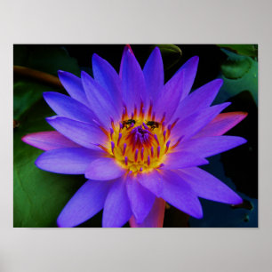 Secret Rendezvous Poster