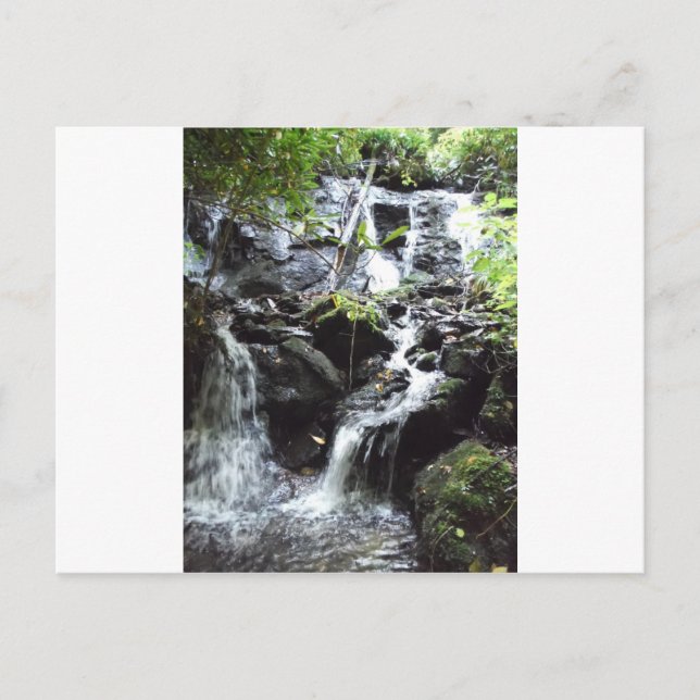 Secret Smoky Mountain Waterfall Postcard (Front)