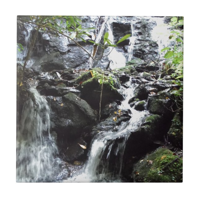 Secret Smoky Mountain Waterfall Tile (Front)